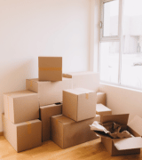 professional packing services